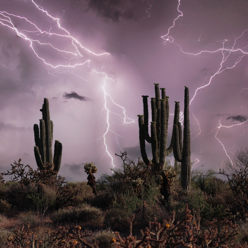 Monsoon in Arizona